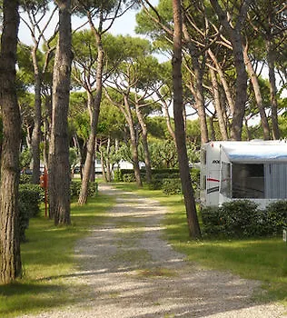 Camping Waikiki Cortellazzo 3*,